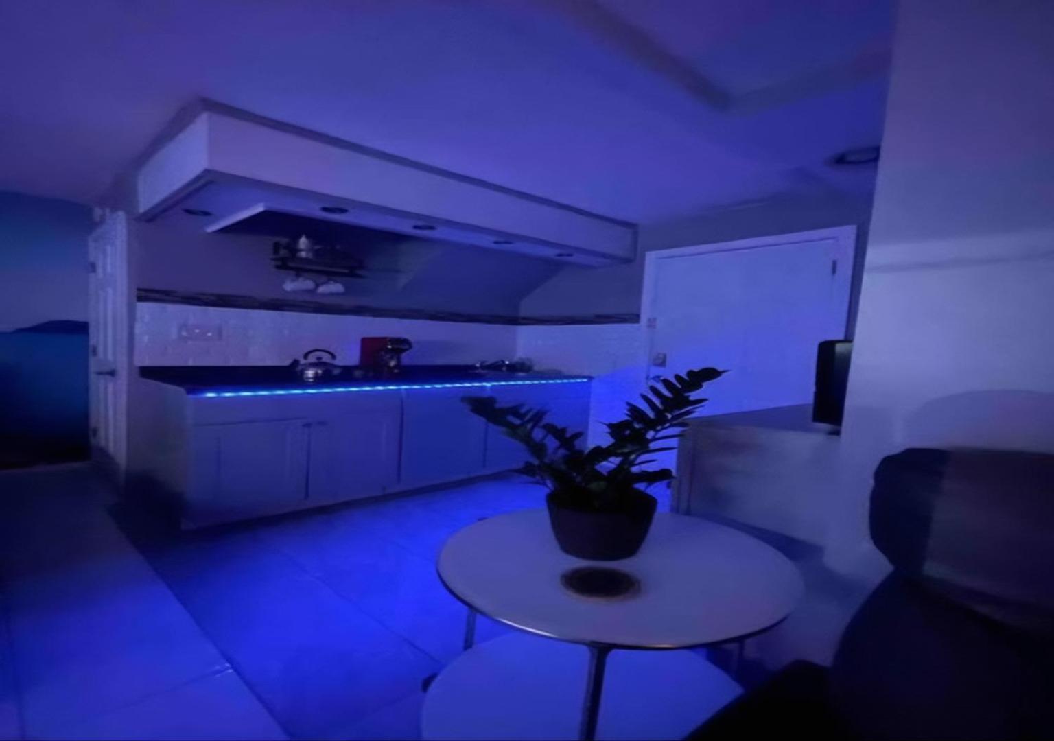 Brooklyn Spacious Space With Private Entrance, Bathroom, & Backyard - Full-Kitchen New York Exteriör bild